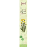 Pure Incense Delicate Tree African Botanicals Incense